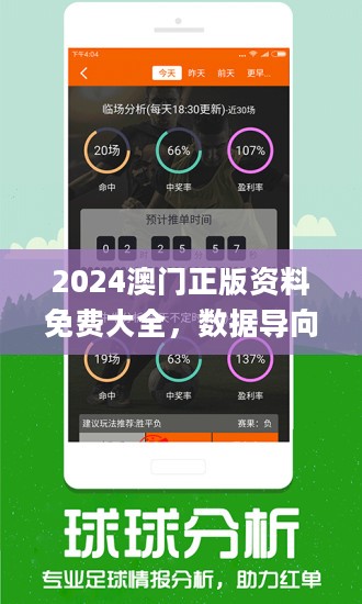 2024澳门免费资料,正版资料｜2024澳门正版资料，免费获取指南_神秘数字背后的故事