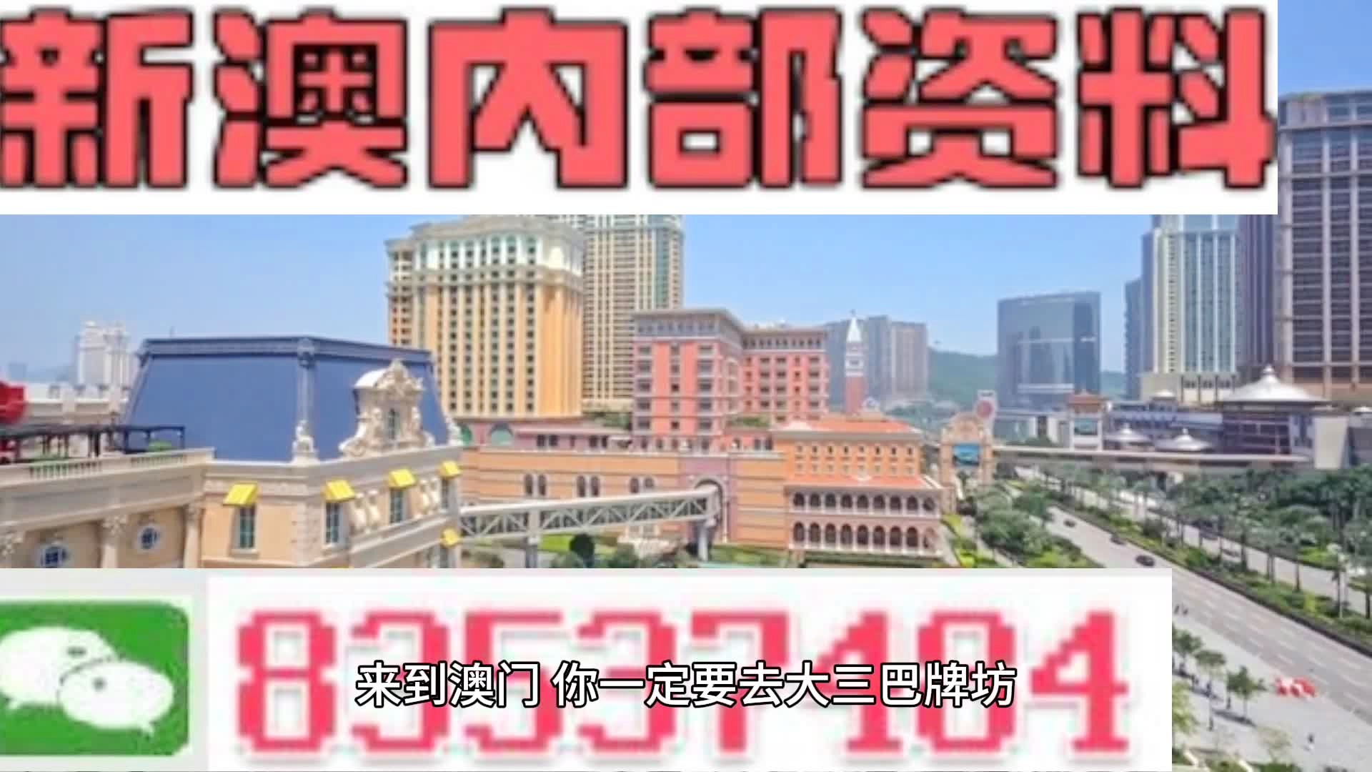 新澳门资料免费长期公开,2024｜2024年新澳门资料永久免费公开_专业分析说明