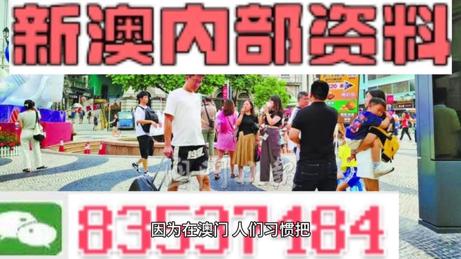 新澳门资料大全正版资料2024年免费下载｜2024年澳门资料全面汇编免费获取_详细剖析解释解答计划