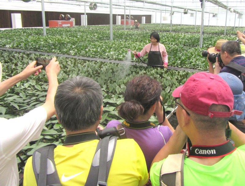 天台南屏乡最新计划，南屏乡天台新规划揭晓