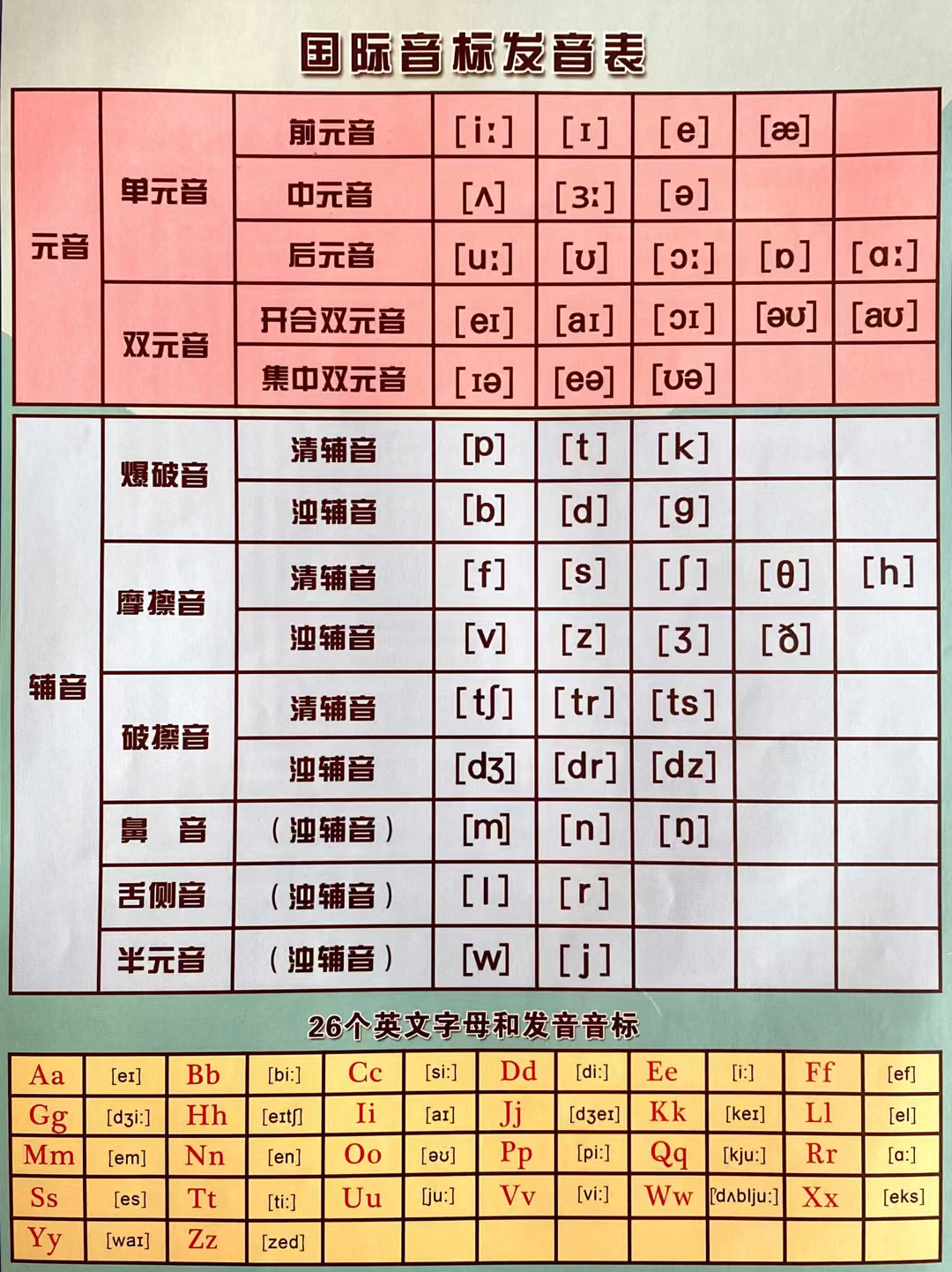 最新国际音标表｜全新国际音标一览