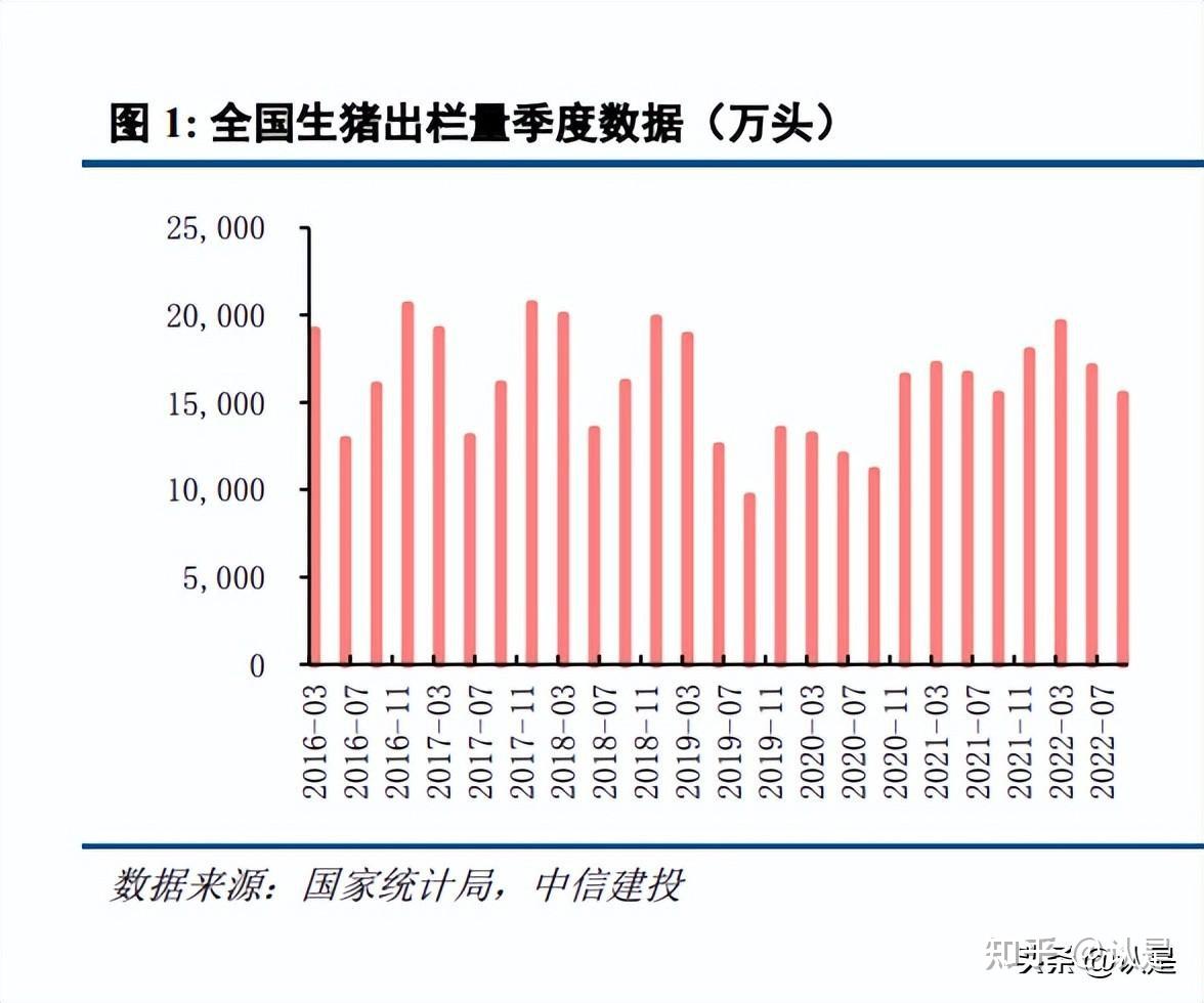 生猪市场喜讯连连，今日行情亮点纷呈报道