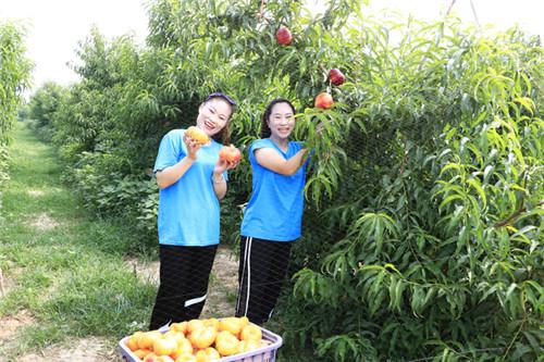 【商丘民权地区】最新就业资讯汇总，热门招聘职位速览