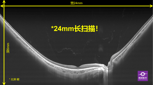 颜文伟大夫最新研究成果解析