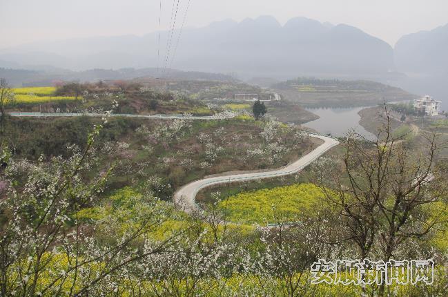 春回大地百花香，性8有你新地址揭晓时刻