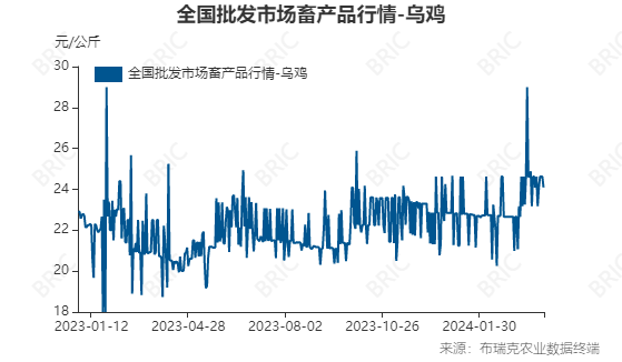 乌鸡市场行情实时追踪：最新价格动态一览